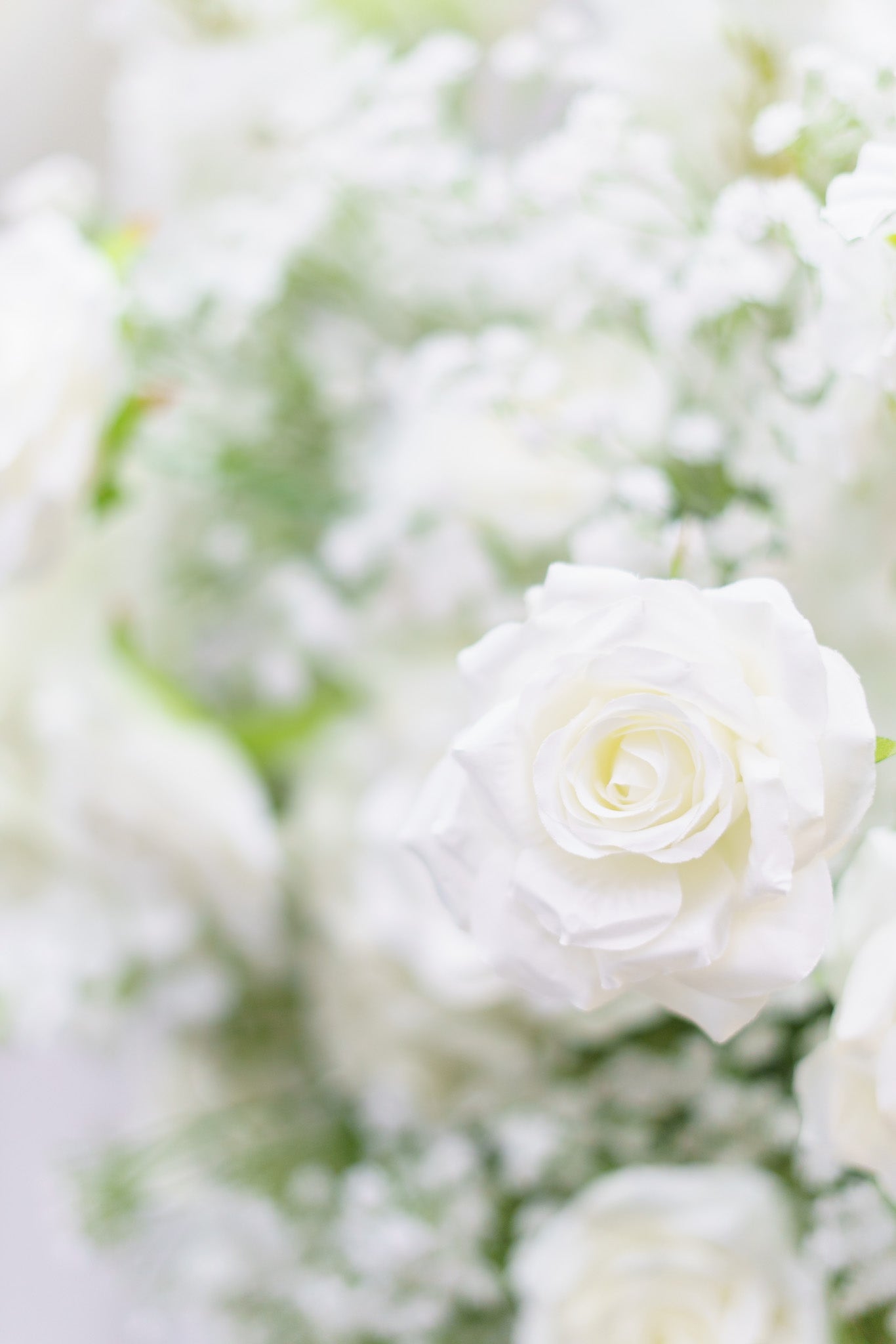 Mariage blanc et or - Tamara & Rency