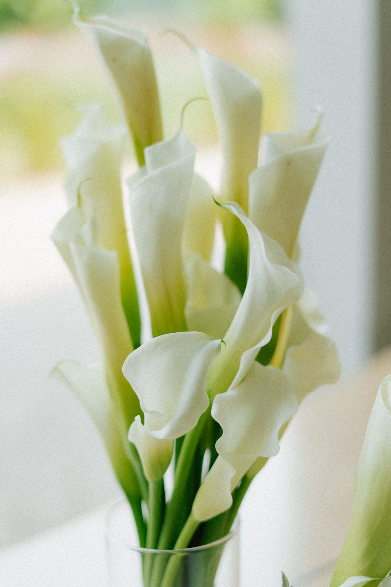 Mariage blanc chic et épuré - Dominic & Julie