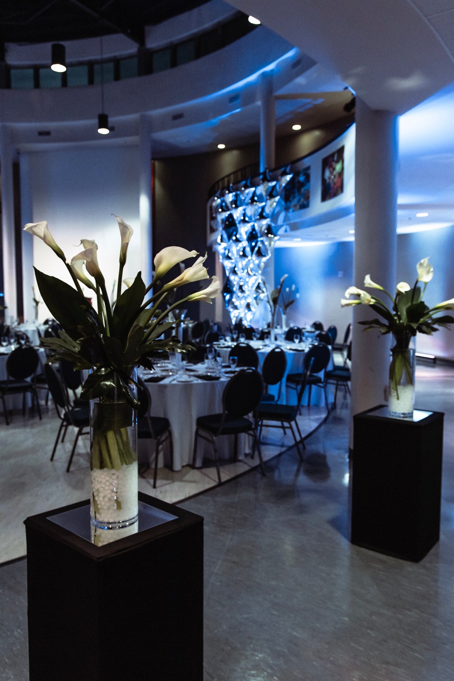 Événement Commission scolaire des Découvreurs - Thème chic